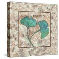 Gingko Rejuvenate 2-Beverly Dyer-Stretched Canvas