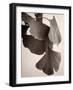 Gingko Sepia-Debra Van Swearingen-Framed Art Print