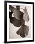 Gingko Sepia-Debra Van Swearingen-Framed Art Print