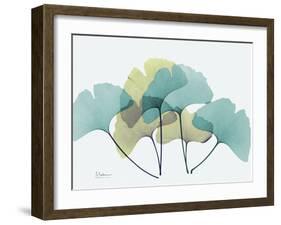 Gingko-Albert Koetsier-Framed Art Print