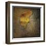 Gingko-John W^ Golden-Framed Giclee Print
