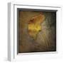 Gingko-John W^ Golden-Framed Giclee Print