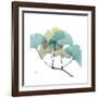 Gingko-Albert Koetsier-Framed Premium Giclee Print