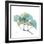 Gingko-Albert Koetsier-Framed Premium Giclee Print