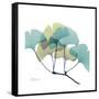 Gingko-Albert Koetsier-Framed Stretched Canvas