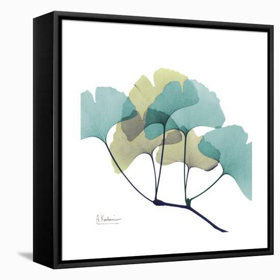 Gingko-Albert Koetsier-Framed Stretched Canvas