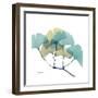 Gingko-Albert Koetsier-Framed Premium Giclee Print