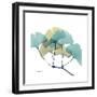 Gingko-Albert Koetsier-Framed Premium Giclee Print