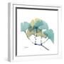 Gingko-Albert Koetsier-Framed Premium Giclee Print