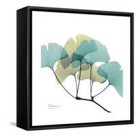 Gingko-Albert Koetsier-Framed Stretched Canvas