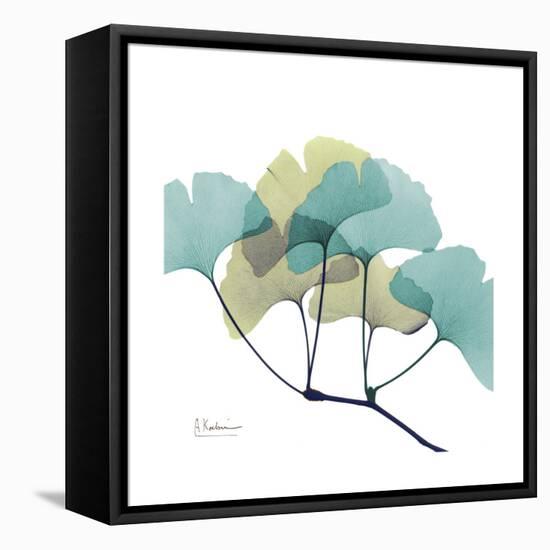 Gingko-Albert Koetsier-Framed Stretched Canvas