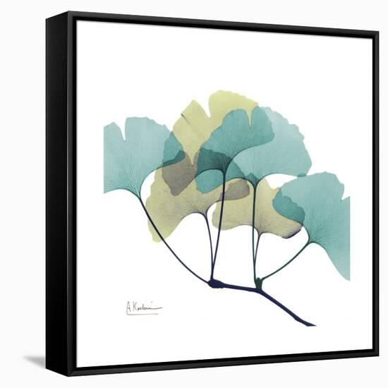 Gingko-Albert Koetsier-Framed Stretched Canvas