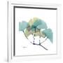 Gingko-Albert Koetsier-Framed Premium Giclee Print