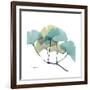 Gingko-Albert Koetsier-Framed Premium Giclee Print