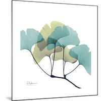 Gingko-Albert Koetsier-Mounted Premium Giclee Print