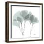 Gingko-Albert Koetsier-Framed Photographic Print