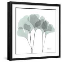 Gingko-Albert Koetsier-Framed Photographic Print