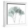 Gingko-Albert Koetsier-Framed Photographic Print