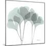 Gingko-Albert Koetsier-Mounted Photographic Print