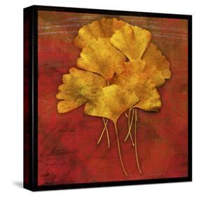 Gingkos #2-John W Golden-Stretched Canvas