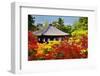 Ginkaku-Ji Temple in Kyoto, Japan during the Fall Season.-SeanPavonePhoto-Framed Photographic Print