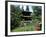 Ginkakuji Temple-null-Framed Photographic Print