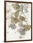 Ginkgo Accent II-null-Framed Art Print