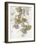 Ginkgo Accent II-null-Framed Art Print