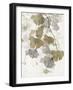 Ginkgo Accent II-null-Framed Art Print