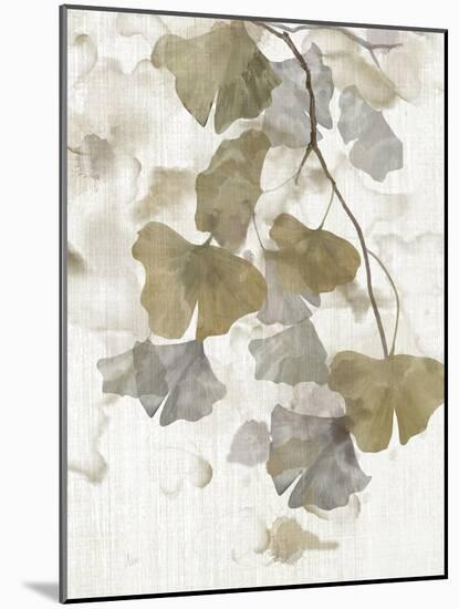 Ginkgo Accent II-null-Mounted Art Print