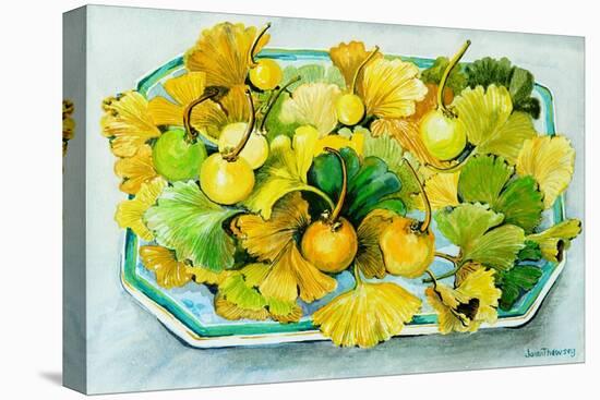 Ginkgo,Fruit and Leaves, 2010-Joan Thewsey-Stretched Canvas