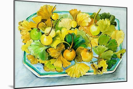 Ginkgo,Fruit and Leaves, 2010-Joan Thewsey-Mounted Giclee Print