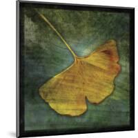 Ginkgo III-John Golden-Mounted Giclee Print