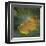 Ginkgo III-John Golden-Framed Giclee Print