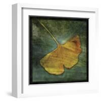 Ginkgo III-John Golden-Framed Art Print