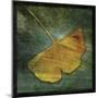 Ginkgo III-John Golden-Mounted Art Print