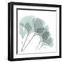 Ginkgo in Pale Blue II-Albert Koetsier-Framed Art Print