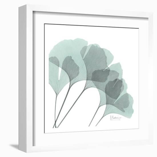 Ginkgo in Pale Blue II-Albert Koetsier-Framed Art Print