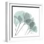 Ginkgo in Pale Blue II-Albert Koetsier-Framed Art Print