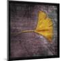 Ginkgo IV-John Golden-Mounted Giclee Print