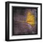 Ginkgo IV-John Golden-Framed Art Print