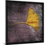 Ginkgo IV-John Golden-Mounted Art Print