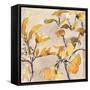 Ginkgo Leaf Moment II-Samuel Dixon-Framed Stretched Canvas