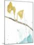 Ginkgo on Dusty Teal II-Jennifer Goldberger-Mounted Art Print