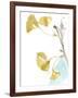 Ginkgo on Dusty Teal IV-Jennifer Goldberger-Framed Art Print