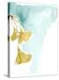 Ginkgo on Dusty Teal IX-Jennifer Goldberger-Stretched Canvas