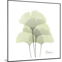 Ginkgo Quad in Green-Albert Koetsier-Mounted Art Print