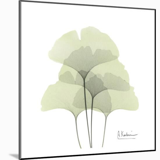 Ginkgo Quad in Green-Albert Koetsier-Mounted Art Print