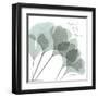 Ginkgo Sea II-Albert Koetsier-Framed Art Print