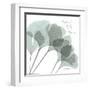 Ginkgo Sea II-Albert Koetsier-Framed Art Print